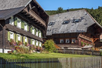Typical Black Forest houses, windows with flowers, Menzenschwand, Black Forest, Baden-Württemberg,