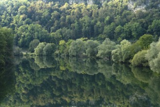 Beautiful green trees reflected in the River Doubs as it winds its way through the stunning