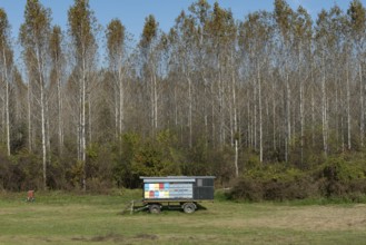 Bee hives mounted on a farm trailer located beside the River Danube near the Serbian town of
