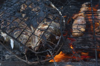 Preparing and grilling fresh fish from the River Euphrates, known locally as Masgouf, it's