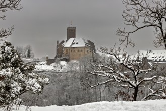 Snowy castle with bare trees in the foreground, wintry atmosphere, The Wartburg near Eisenach in