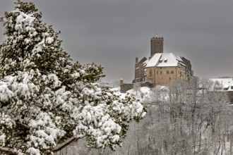 Snowy castle in winter landscape surrounded by snow-covered trees under grey sky, The Wartburg near