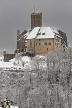 Close-up of a castle in winter, snow-covered trees in the foreground, The Wartburg near Eisenach in