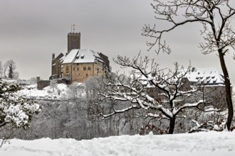 Medieval castle surrounded by snow-covered trees and cloudy skies, The Wartburg near Eisenach in