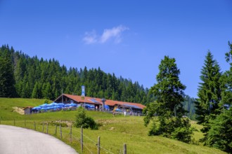 Stubental Alpe, near Jungholz, Oberallgäu, Tyrol, Austria