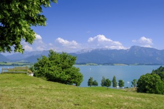 Forggensee bei Dietringen, Ostallgäu, Swabia, Bavaria, Germany