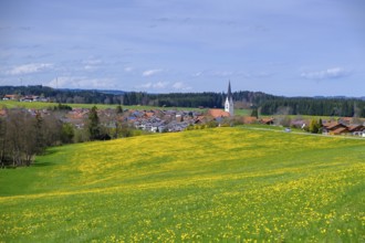 Wald an der Wertach, Ostallgäu, Swabia, Bavaria, Germany