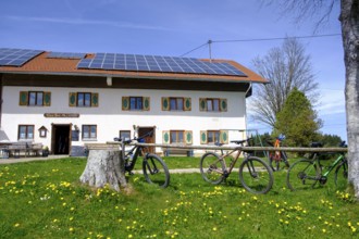 Alpe Beilstein bei Görisried, Ostallgäu, Swabia, Bavaria, Germany