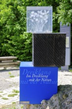 Hiking triology, Bad Wurzach, Upper Swabia, Swabia, Baden-Württemberg, Germany