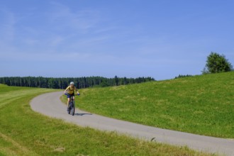 Cyclists near Diepolshofen, Upper Swabia, Swabia, Baden-Württemberg, Germany
