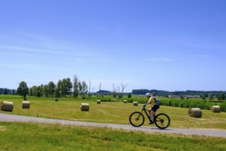 Cyclists near Eckhalden, Herrgottsried, Upper Swabia, Swabia, Baden-Württemberg, Germany