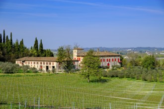 View from San Martino della Battaglia, Colli Mantovani Lombardy, Province of Brescia, Italy