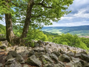 Blockheap on the Schafstein, former rock glacier, view over the Rhön countryside, Hessian Rhön,