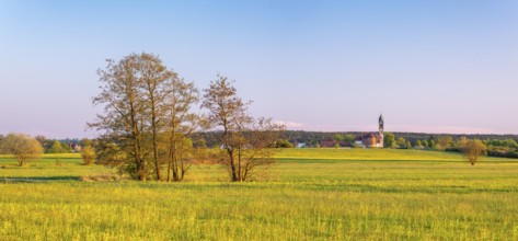 Meadow landscape in the Altmühltal, behind Großenried with the church of St. Lawrence, Middle