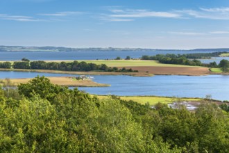 View of the lagoon landscape, Großer Jasmund Bodden, Rügen Island, Mecklenburg-Western Pomerania,