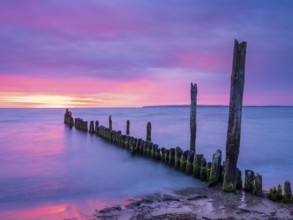 Sunrise on the Baltic Sea beach with old grouse at the Baltic Sea resort of Breege-Juliusruh,
