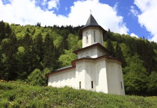 Sfantul Ilie Paltinul Monastery, Holy Prophet Elias Paltinul Monastery, Manastirea Sfântul Prooroc