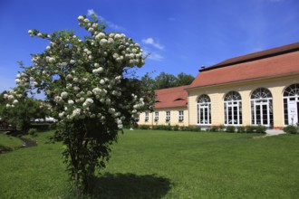 Brukenthal summer residence, late Baroque palace complex, in Avri, Freck, Transylvania, Romania