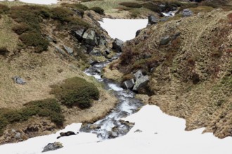 Ladschaft on the Transfogarasan Highway, Transfagarasan, connects the Arges Valley in Great