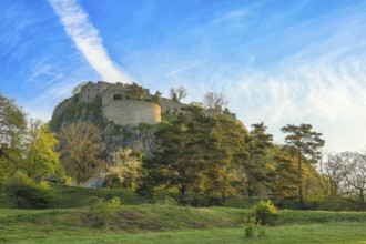 Hohentwiel Castle Ruins Surrounded by Green Trees and Meadow with Clear Blue Sky, Volcanic
