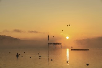 Überlinger See at sunrise with a jetty and flying birds in fog, Lake Constance,