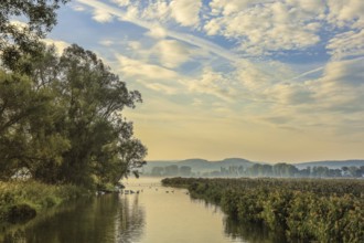 Picturesque river landscape with trees and clouds in the sky. Quiet morning atmosphere in
