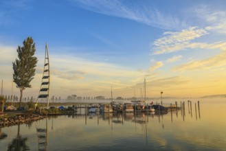 Lake Zell at sunrise with boats on a jetty and a clear sky with clouds, Lake Constance, Höri
