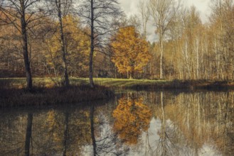 Quiet autumn landscape with trees and their reflection in the lake, Hofgut Dauenberg,