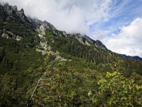 Lush mountain landscape with green trees against a blue, cloudy sky, hiking in the High Tatras