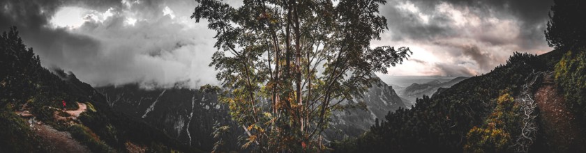 Intense mountain panorama in dramatic colors with a central tree and dramatic sky, a hiker on a