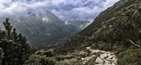 Wild mountain trail with a view of a lake, Morskie Oko and thick, dramatic clouds above the peaks,