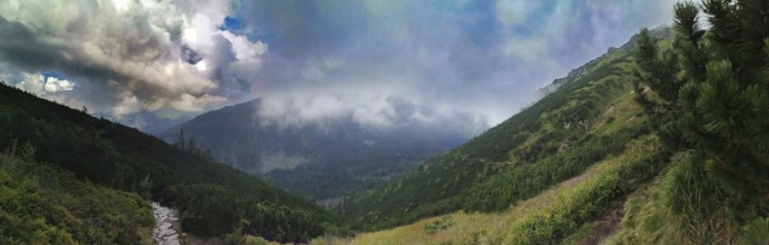 Panoramic view of mountainous landscape with a rocky path, dramatic sky and illuminated, lush
