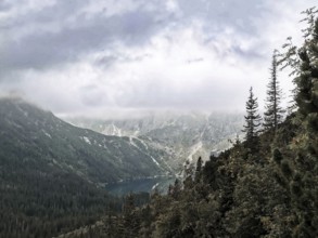 Misty mountain valley with lake and dense forest landscape under a cloudy atmosphere, hiking in the