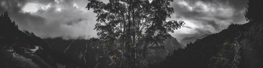 Dramatic black and white mountain landscape, panorama with central tree and threatening clouds, a