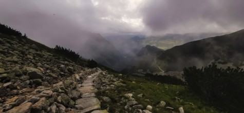 A lonely stone path in a foggy mountain landscape at dusk, hiking in the High Tatras National Park,