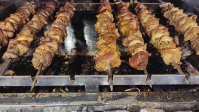 Close-up of grilled meat skewers, shish kebab over a hot grill, Zakopane, hiking in the High Tatras