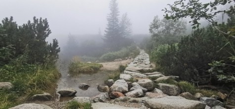 Stone trail leads through foggy, wooded landscape with water, Zakopane, hiking to Kasprowy Wierch
