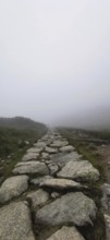 Rocky trail through misty landscape with harsh, mystical ambiance, Zakopane, hiking to Kasprowy
