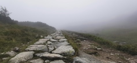 Rocky trail through foggy mountain meadow, Zakopane, hiking to Kasprowy Wierch in the High Tatras