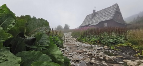 Rustic cabin on a rocky path in foggy landscape, Zakopane, hiking to Kasprowy Wierch in the High