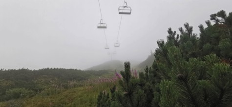 Misty mountain landscape with cable car and pine trees (pinus), Zakopane, hike to Kasprowy Wierch