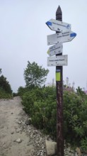 Signed hiking trail, signpost through wooded mountain landscape in fog, Zakopane, hiking in the