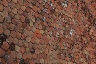 Old roof covering, beaver tail-shaped tiles, partly already weathered or with growth of lichens and