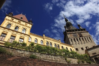 Romania, hour tower and cultural house in the historic old town of Sighisoara, German Sighisoara,