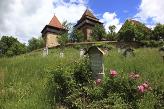 Romania, the fortified church and cemetery of Viscri, German German Weisskirch a town in the