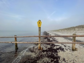 National Park core zone: No entry is allowed. Beach in the Western Pomerania Lagoon Area National