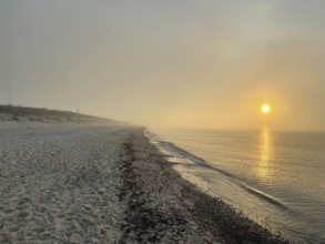 Sunset, fog on the beach in the Western Pomerania Lagoon Area National Park, Darss-Zingster Bodden