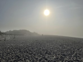 Fog on the beach in the Western Pomerania Lagoon Area National Park, Darss-Zingster Boddenkette,