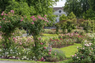 Rosengarten Kurort Bad Eilsen Germany