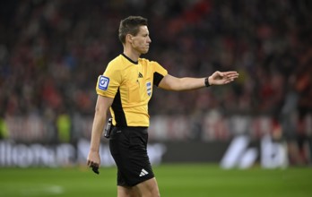 Referee Daniel Siebert gesture gesture soccer Bundesliga, DFB-Pokal, Allianz Arena, Munich, Bayern,
